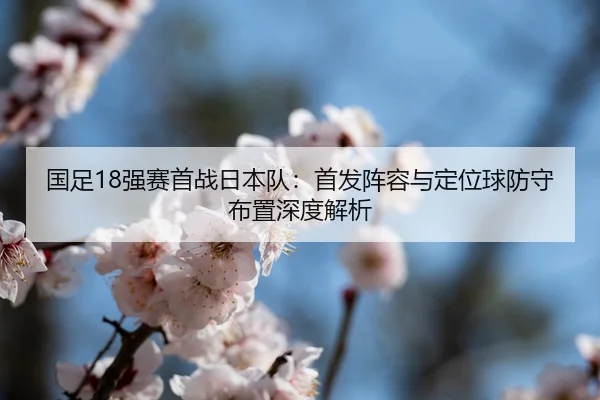 guo-zu-qiang-sai-shou-zhan-ri-ben-dui-shou-fa-zhen-rong-yu-ding-wei-qiu-fang-shou-bu-zhi-shen-du-jie-xi-2-316.jpg